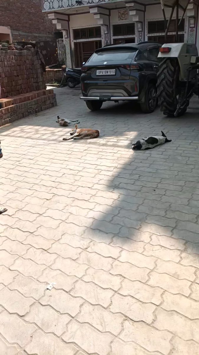 समाचार TODAY 24 tweet media