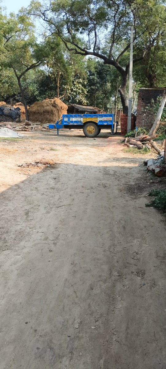 समाचार TODAY 24 tweet media