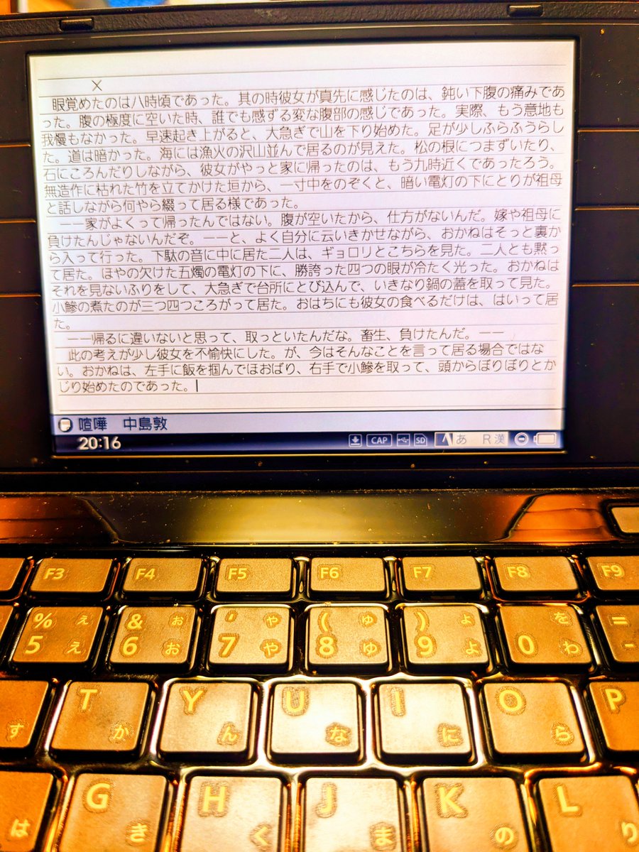 hutokawa_rui's tweet photo. 中島敦
喧嘩

#筆写
#太川るいの筆写
#ポメラ
#DM100 https://t.co/0qiteYKbFX