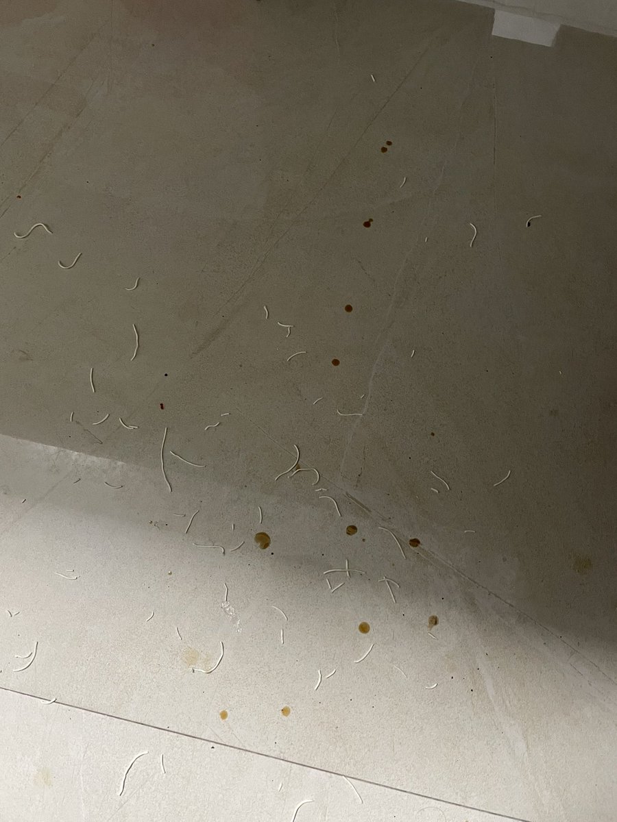 sutking's tweet photo. 合味道绝对觉到是唯一靠谱的方便面！这个傻逼莫小仙！辣油包根本撕不好，纯纯反人类设计！妈的傻逼再买！ https://t.co/sW8xzeygNT