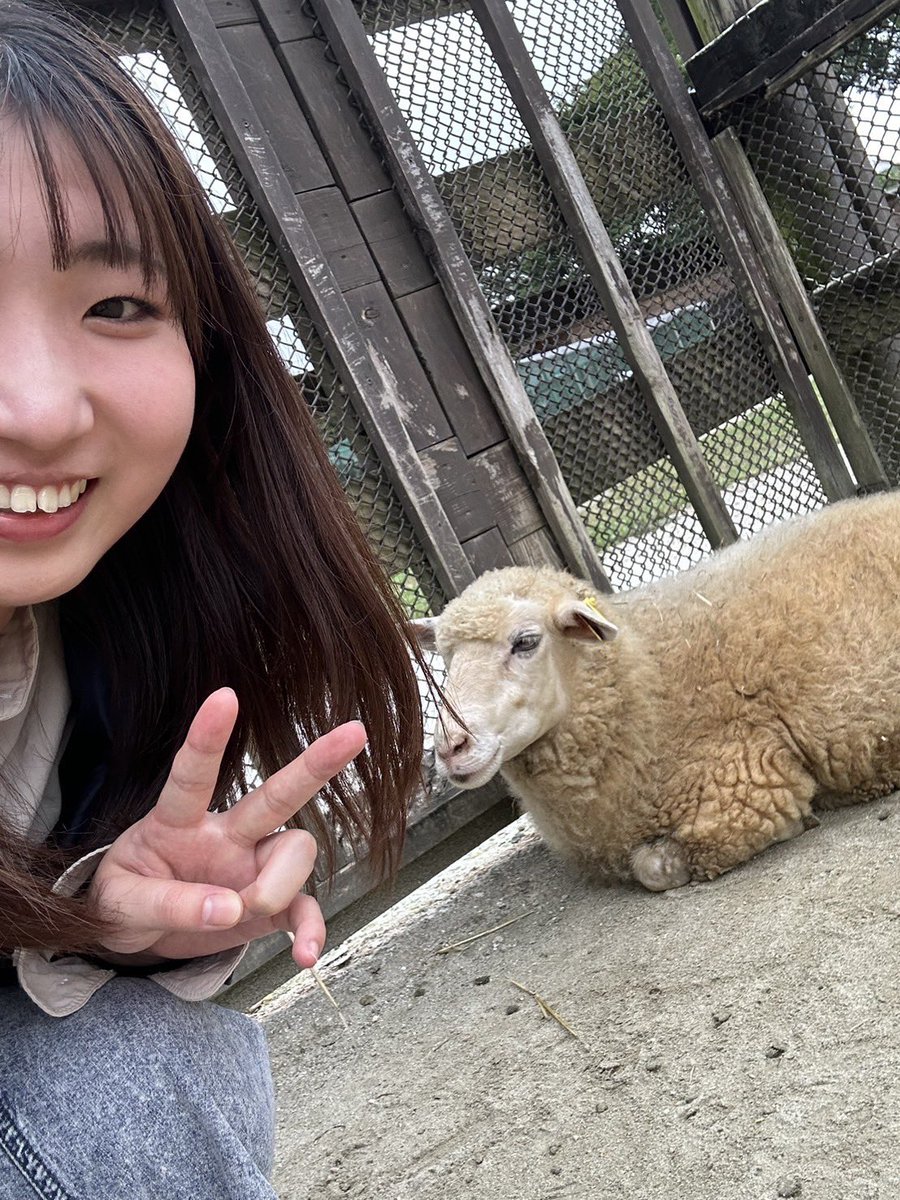 【メンバー紹介】
学部4年生　関根美羽さん

【コンサートに向けて意気込み、コメント】
気が付けば3回目にして最後のアミカルになりました。
第30回という記念すべき今回の演奏会、気合を入れて頑張って準備をしています！
皆様のご来場心よりお待ちしております！