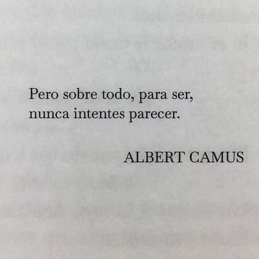 literland (@literlandweb1) on Twitter photo 