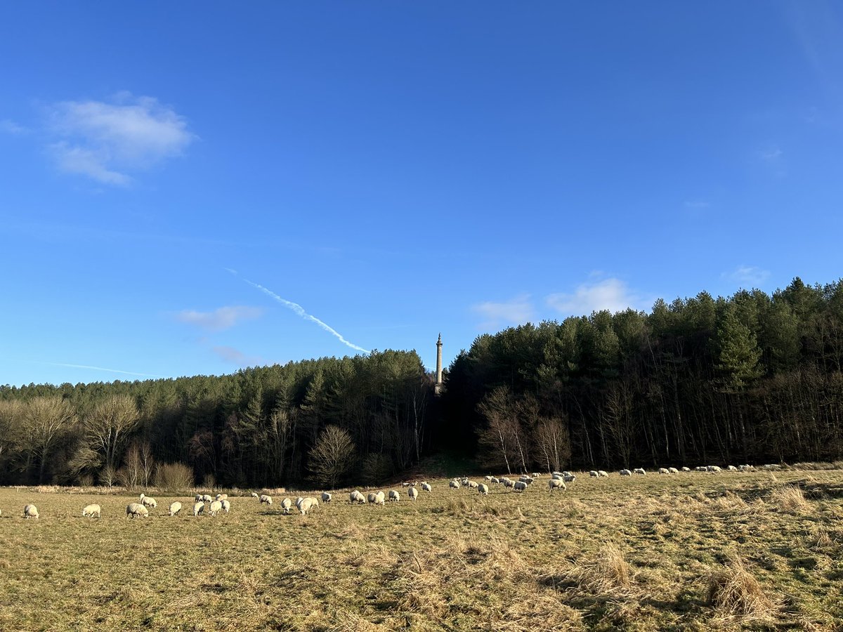 JenlimestoneJen's tweet photo. Gibside yesterday ☀️ 
@nationaltrust @NT_Gibside 
#gibside #northeast 
Great walking weather &amp; beautiful scenery. https://t.co/7pbiPoI3rI