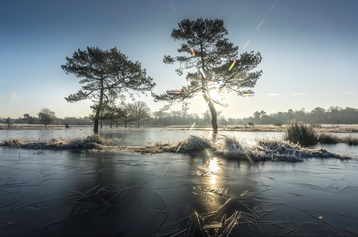 ➡️ Robert de Vries tweet media