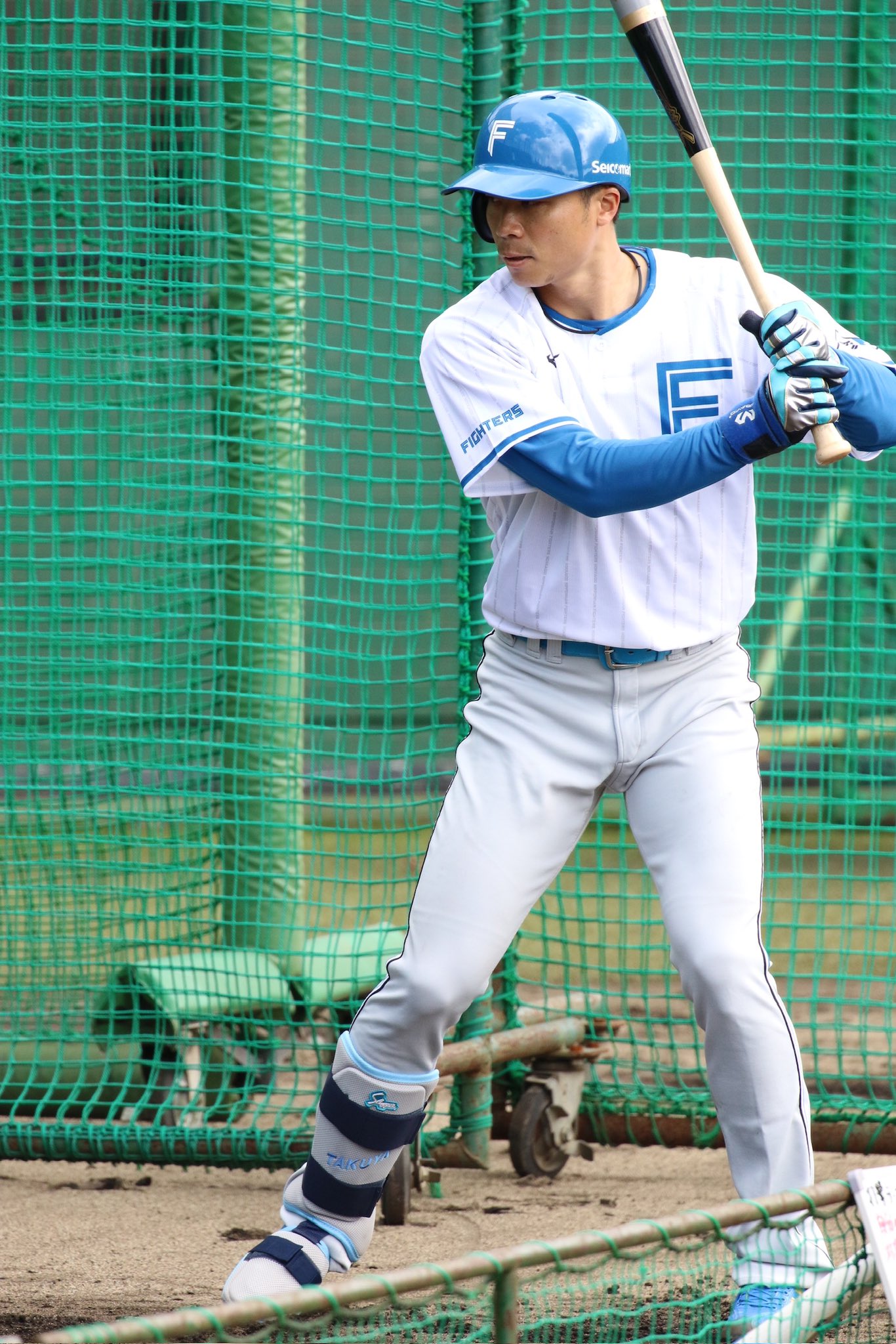 北海道日本ハムファイターズ 『中島卓也』選手 ボンフィン 弾けれ 北海道日本ハムファイターズ 『中島卓也』選手 ボンフィン 弾けれ