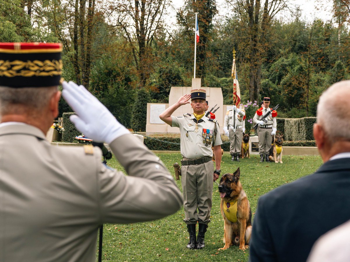 132e régiment d'infanterie cynotechnique tweet media