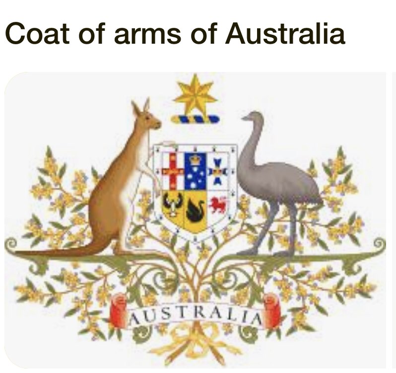 GA mfers. 

Markets are still going sideways. Pretty boring. Will have a closer look later. 

For those that care Bitcoin is at 101k
Ethereum is at 3100
Doge is back to 0.30
Trump is back to 21. Ouch

Instead of crypto let’s have some Australian knowledge. 

I was today years old