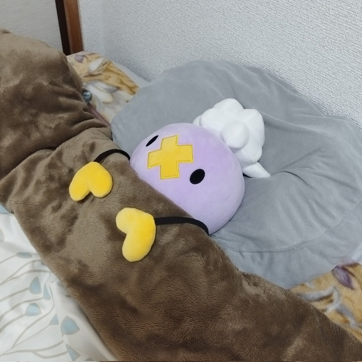 モッチとの生活 tweet media