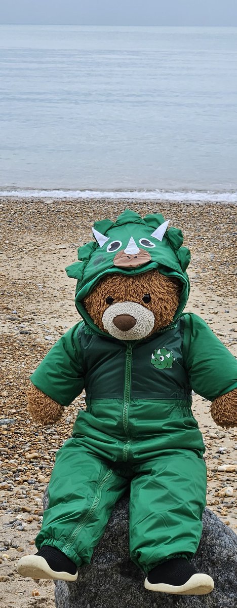 BDMed_Bear's tweet image. Thought I would share some more pictures from when I went to #Folkestone recently, such a lovely #beach &amp;amp; scenery, I found it very calming. Its nice to take a moment with your thoughts! #bearswithjobs #MentalHealthMatters #SundayVibes #weekend #beach #Kent #UK #winter #calm