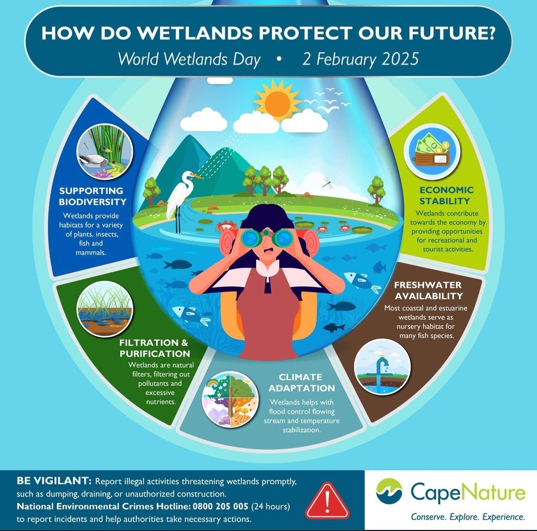 CapeNature1's tweet image. Today, we celebrate World Wetlands Day. Let us take a moment to think about the responsibility that we all have in protecting our wetlands as they play a vital part in providing us with one of the most essential resources. 

#CapeNature #WorldWetlandsDay