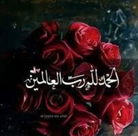 الاديب⁦⁩⁦⁦✍️ tweet media