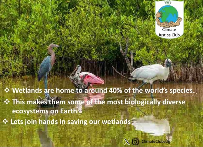 Protecting wetlands is protecting our future. Let’s commit to safeguarding these invaluable ecosystems today and always. #WorldWetlandsDay2025
