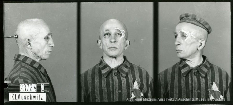 Auschwitz Memorial tweet media