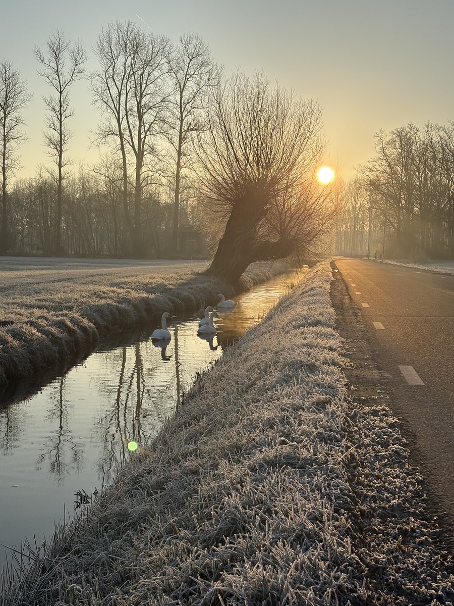 Goedemorgen ☀️❄️