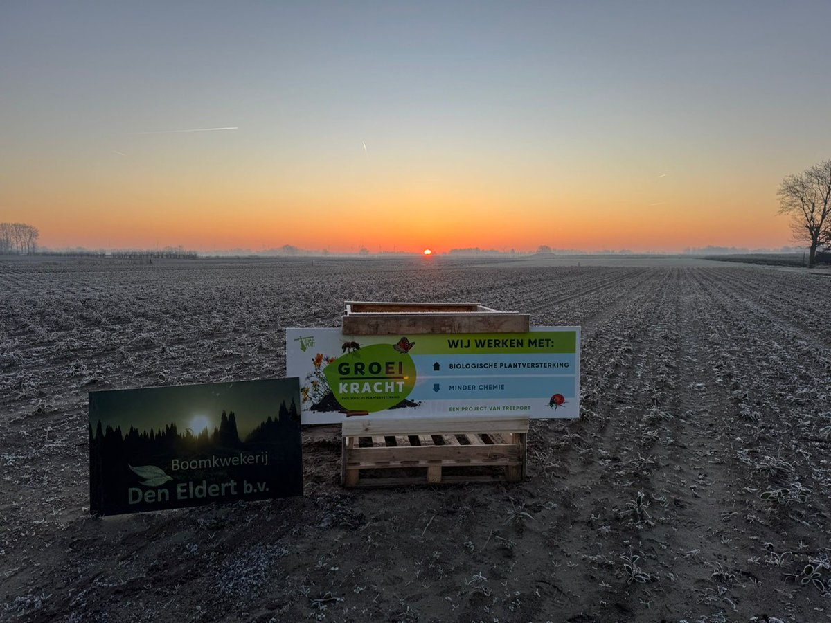 Treeport tweet media