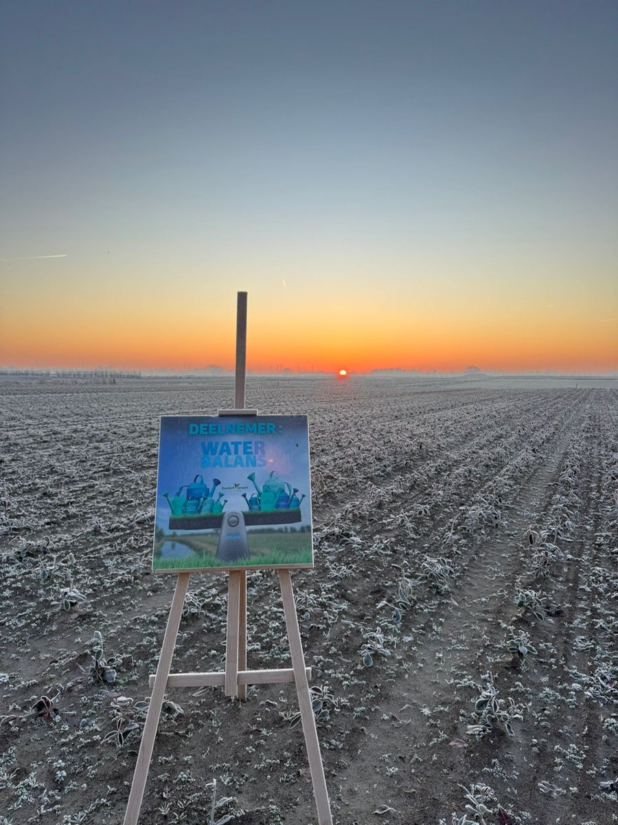 Treeport tweet media