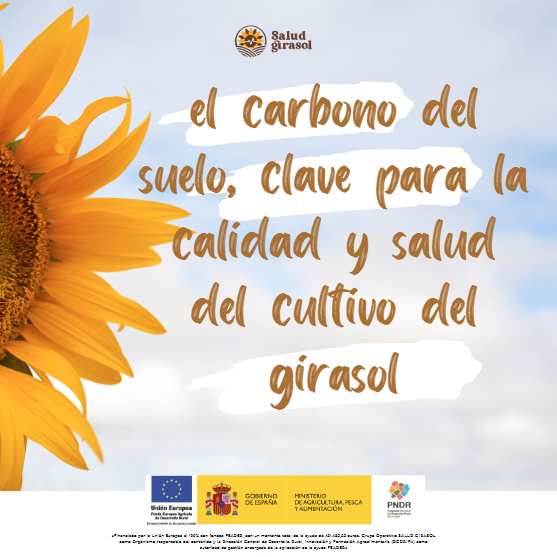 🌱 El carbono del suelo, clave para la productividad agraria 🌍

✅ Mejora la fertilidad aportando nutrientes esenciales.
💧 Aumenta la retención de agua y fortalece la estructura.
🦠 Favorece la actividad microbiana y regula el suelo.
ow.ly/Ms3i50UPejw