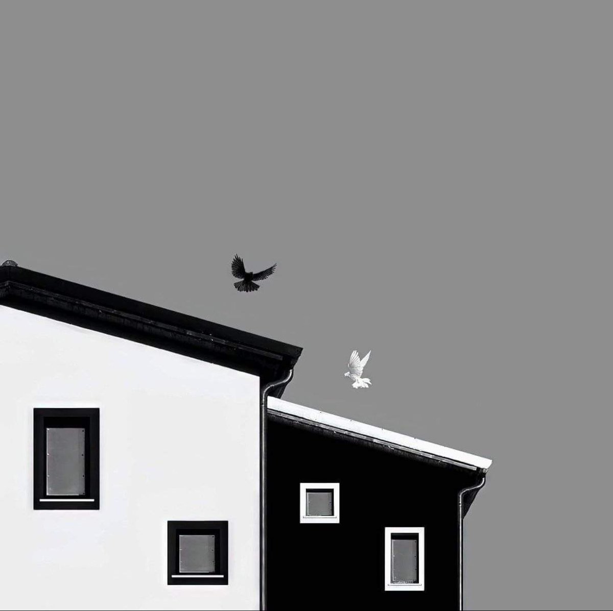 📷©️ Lorenzo Zucchi.