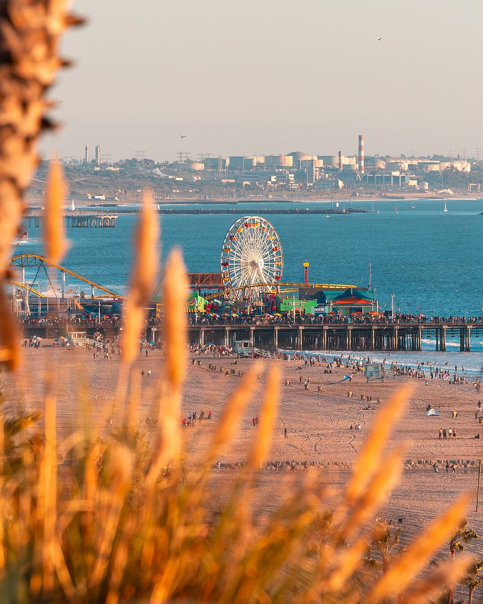 Dogtowncoffee's tweet photo. Sunday serenity in Santa Monica. Huge thanks to @lenafound for capturing this beautiful view of Santa Monica. Here’s to slow mornings, good coffee, and soaking in the beauty around us.
#SundayVibes #SantaMonicaMagic #GoldenHour #DogtownCoffee https://t.co/RNzFgDEEv4
