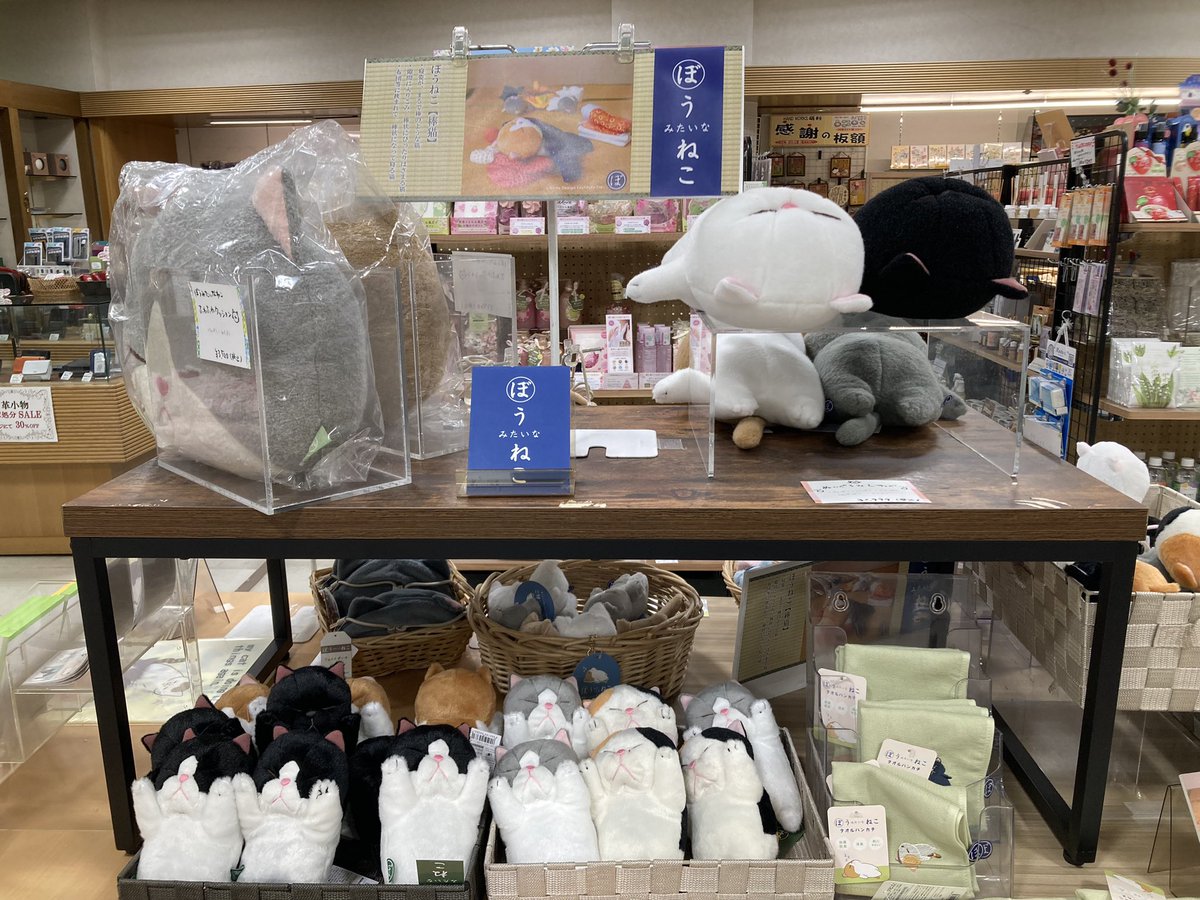 q_kokura_seki's tweet image. 2月22日は猫の日です。
棒みたいに寝ている猫『ぼうねこ』フェア
開催中😸😸
3月3日までの限定開催です。
ぶさ…いやいや、かわいい猫たちを見にきてください。
#クエスト小倉本店　#ぼうねこ