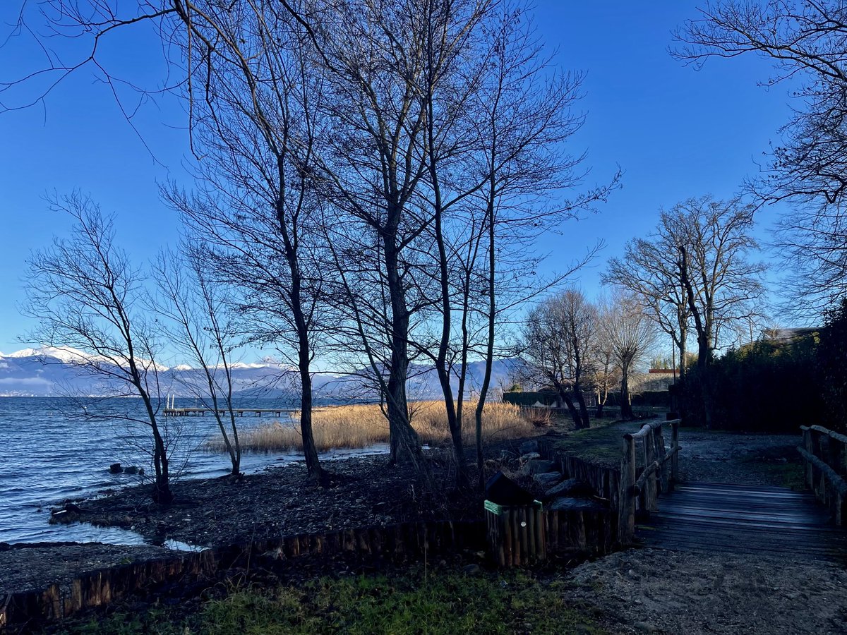 enzomazza's tweet image. #earlyrunning #lagomaggiore