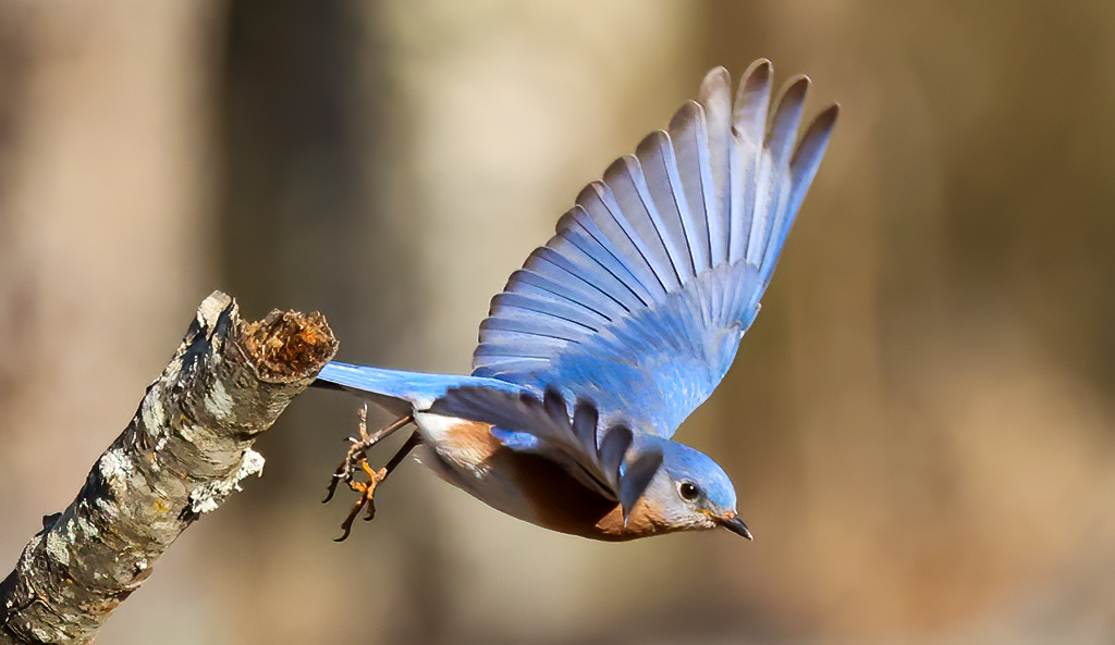 Gary Ladner tweet media