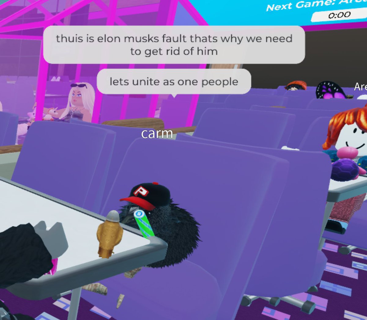local pukeko chick flies into a Gamer Rage after losing bloxy bingo