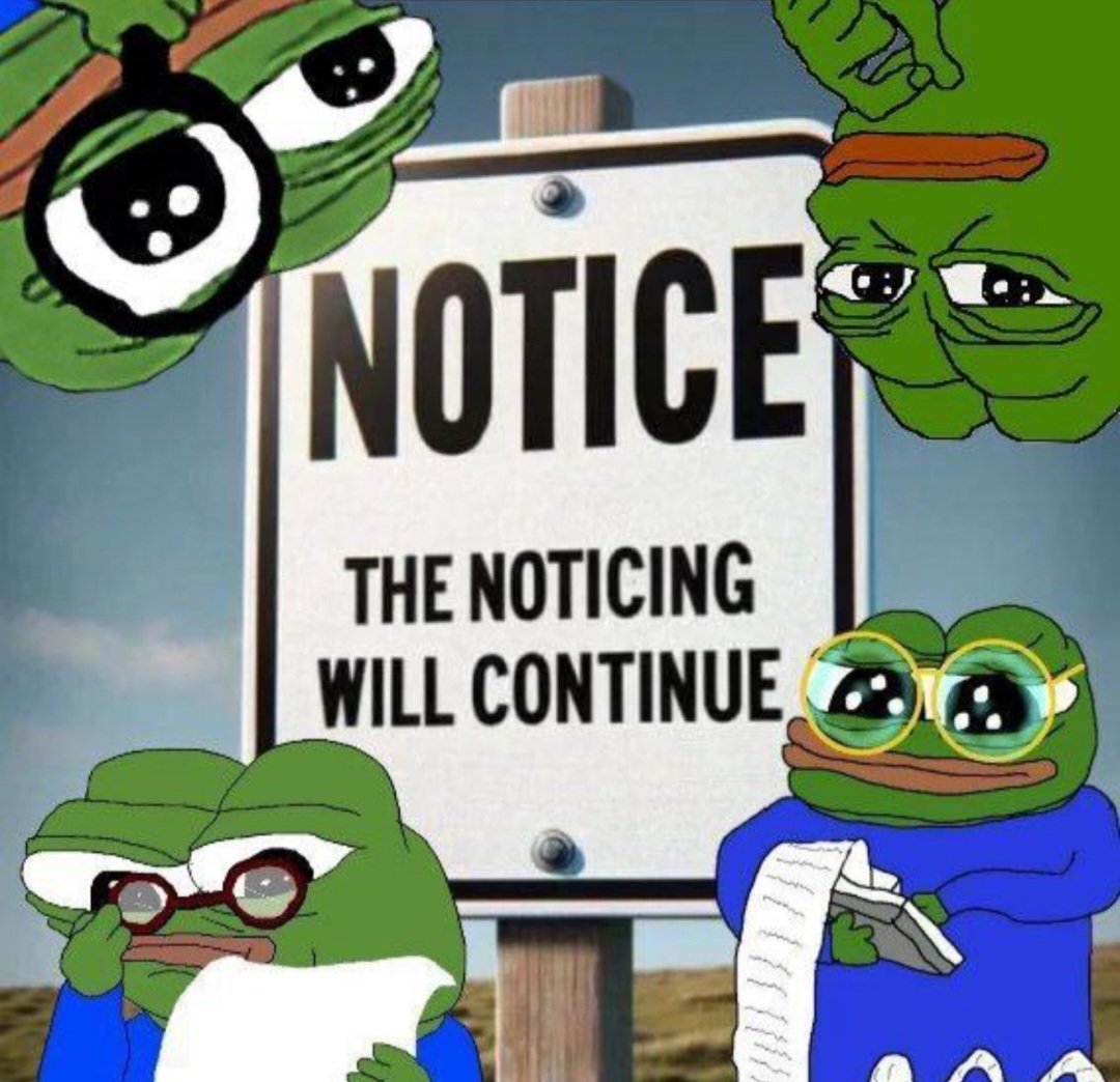 foundthetkt tweet media