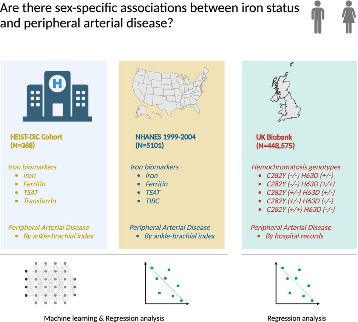 ATHjournal's tweet image. Elevated #ferritin within physiological limits is associated w/ clinically apparent PAD in 👭. This finding add to the body of evidence suggesting sex differences in PAD and highlight a possible directly or indirect role of iron in this relationship
🔗atherosclerosis-journal.com/article/S0021-…