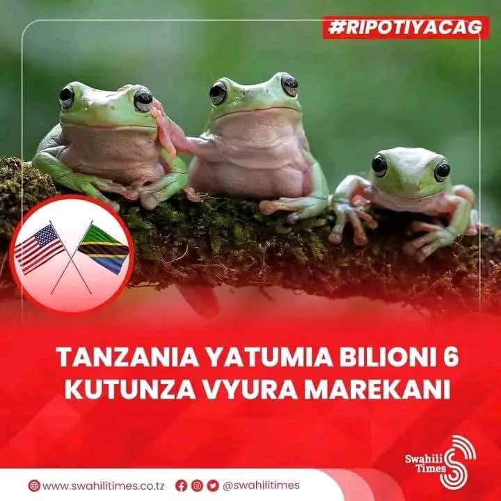 slim_chapter's tweet image. Kwanini waandishi siku hizi wamekua wa vivu kiasi hichi