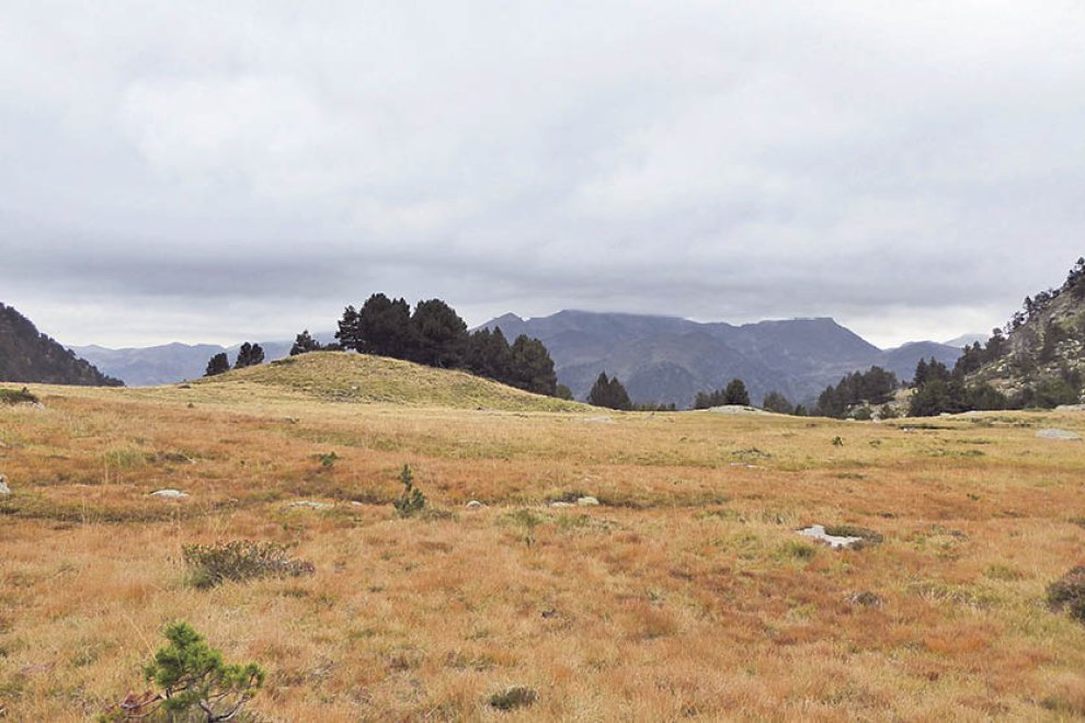 Protegir les zones humides per al nostre futur comú

Avui se celebra el Dia mundial dedicat a aquests espais que, tot i ser essencials per a la biodiversitat i el benestar humà, es troben força amenaçats

ℹ️ ow.ly/fBSS50UR6vn #7Dies