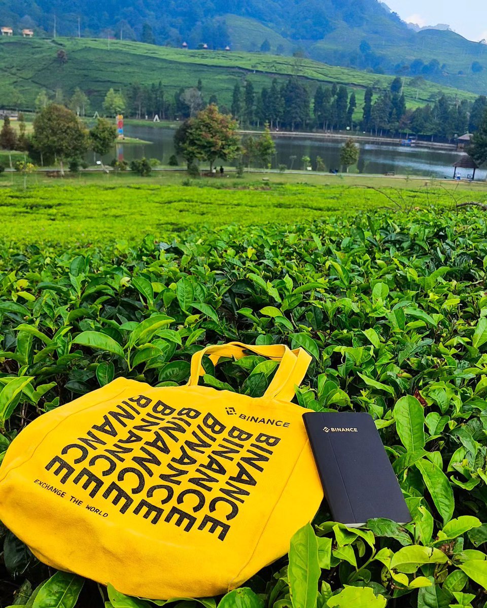 Take a break and touch some grass today.