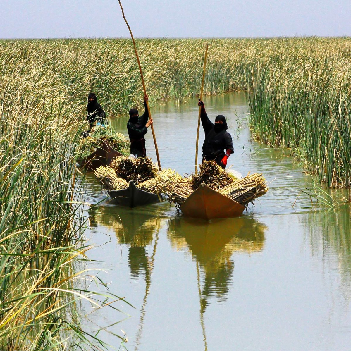 As we commemorate World Wetlands Day, it is essential to recognize the significance of wetlands to our environment, ecosystems, and future generations, and to take collective action to safeguard these precious natural resources.
<a href="/EnvironmentRw/">Ministry of Environment - Rwanda</a>
<a href="/WGYB_NGO/">We Got Your Back NGO</a> 
<a href="/EnviroRwanda/">Rwanda Environmental Journalists</a>