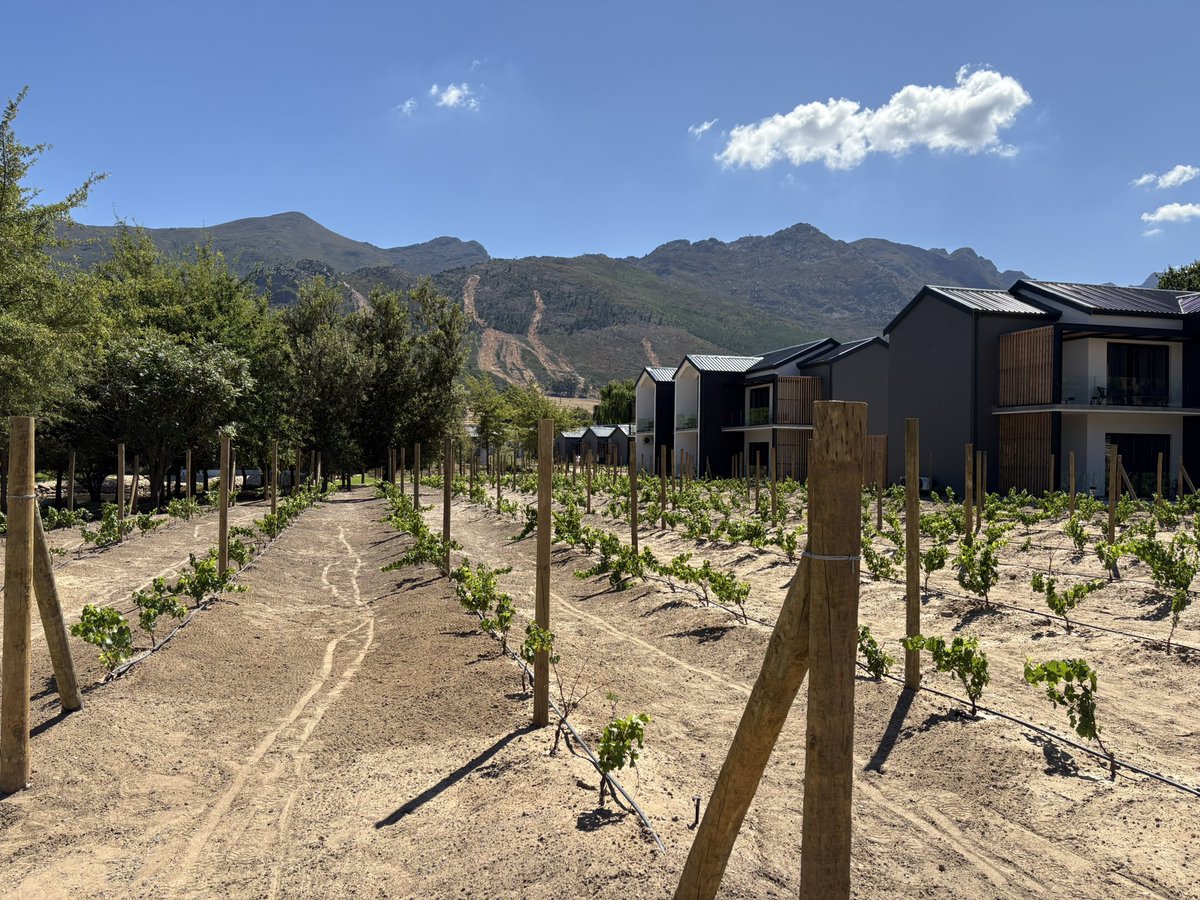 polarbearpirate's tweet photo. I love my job! An enormous thanks to all the wonderful people at @ViadexGlobal for making Polar Bear Pirates so welcome in stunning Franschhoek, Cape Town #oneteam #TNTs https://t.co/aCeoRN43ko