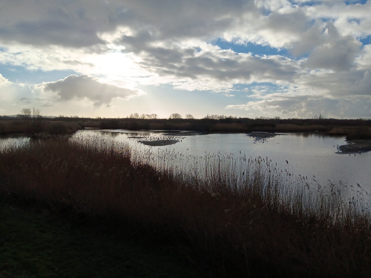 WWT (@wwtworldwide) on Twitter photo Great to share the superpowers of wetlands with Minister for Nature <a href="/MaryCreagh_/">Mary Creagh CBE MP</a> at <a href="/WWTMartinMere/">WWT Martin Mere</a> for #WorldWetlandsDay.
We're looking forward to working with the government in 2025 to restore and protect wetlands like our common future depends on it.
Because it does. Great to share the superpowers of wetlands with Minister for Nature <a href="/MaryCreagh_/">Mary Creagh CBE MP</a> at <a href="/WWTMartinMere/">WWT Martin Mere</a> for #WorldWetlandsDay.
We're looking forward to working with the government in 2025 to restore and protect wetlands like our common future depends on it.
Because it does.