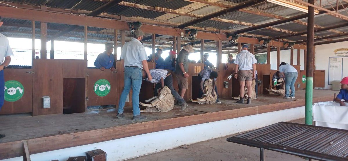 @veeplaas1 tweet media