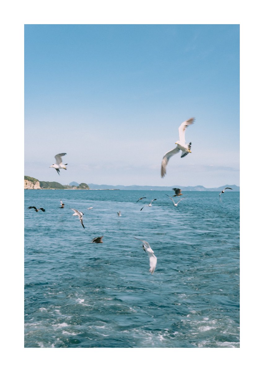 SakaP0606's tweet image. 2024 summer
