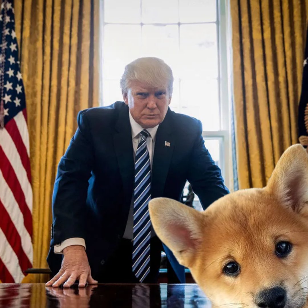 Business is business 

New dog in office $CARTI