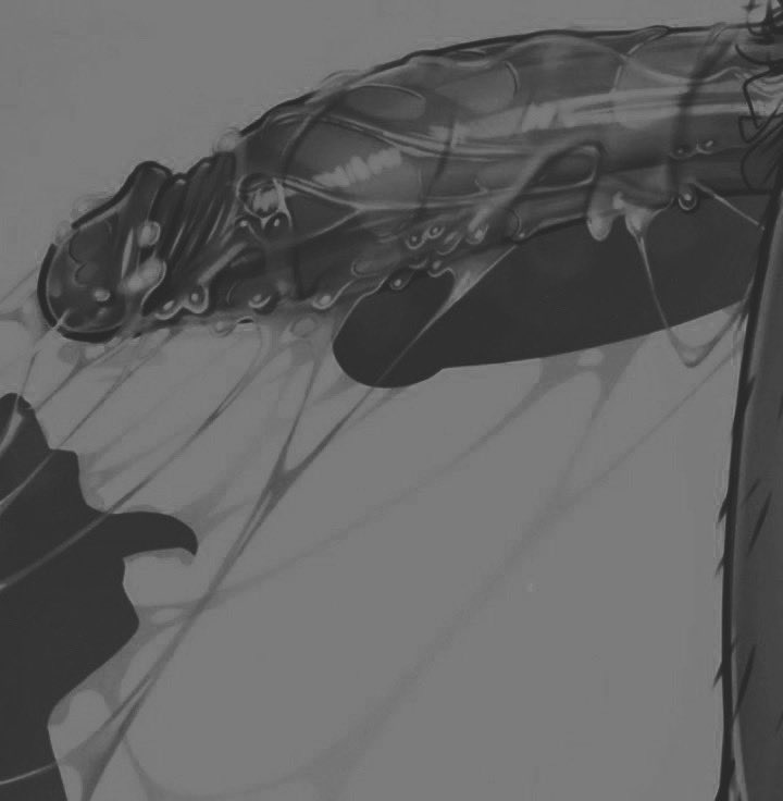 She went to visit one of the Freddy’s locations that were shut down. 

Specifically @ANAL0GBEAR’s. 

Within 5 minutes she found him, got on her knees and gave him the sloppiest head she could manage. Gotta keep the big bear happy~