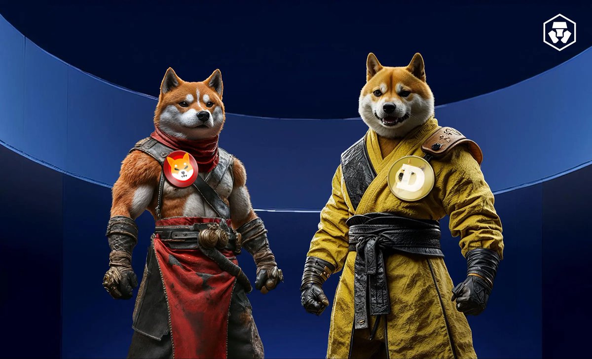Shiba Inu tweet media