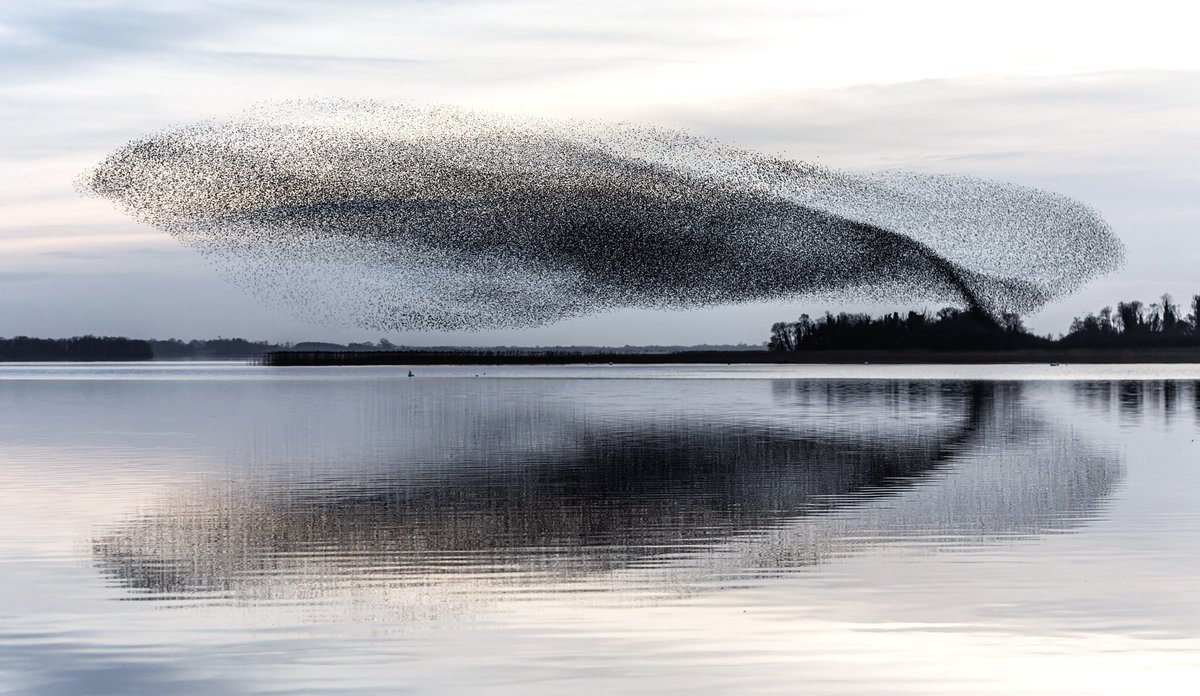 Friday night at Lough Ennell was one of those perfect nights you wait months for, warm with low winds and a performances that keeps drawing you back!!