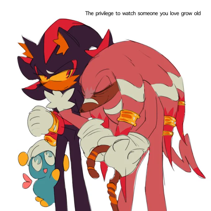 Old Knuxadow #knuxadow #ShadowTheHedgehog #KnucklesTheEchidna