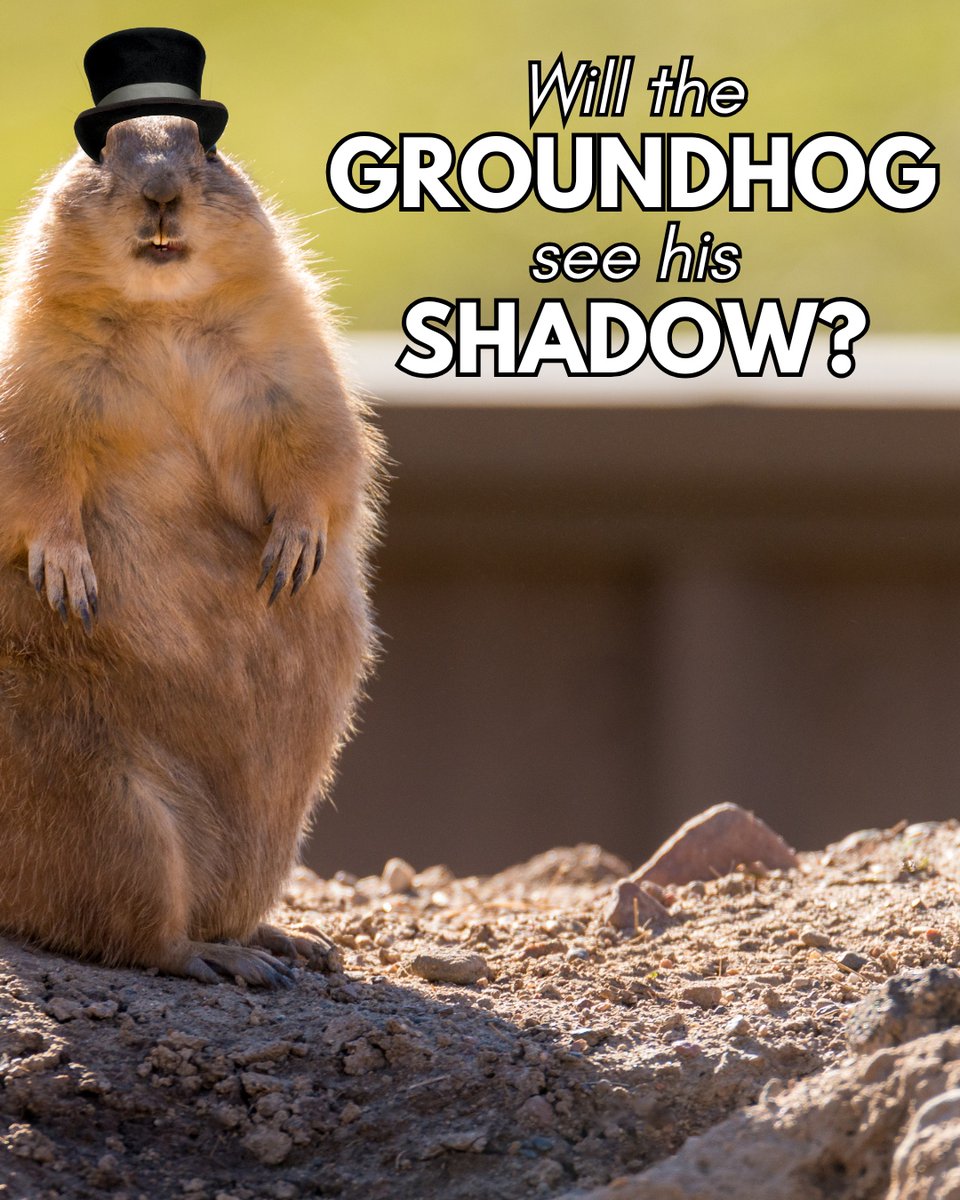 LasikDoctors's tweet photo. Are you rooting for more winter or a quicker spring? Let us know down in the comments! 

#groundhogday #groundhog #samburskyeye #samburskyeyeandesthetics #eyes #optometry #eyedoctor #opthamology #JohnsonCityNY #BroomeCountyNY https://t.co/Ov97fZIueg