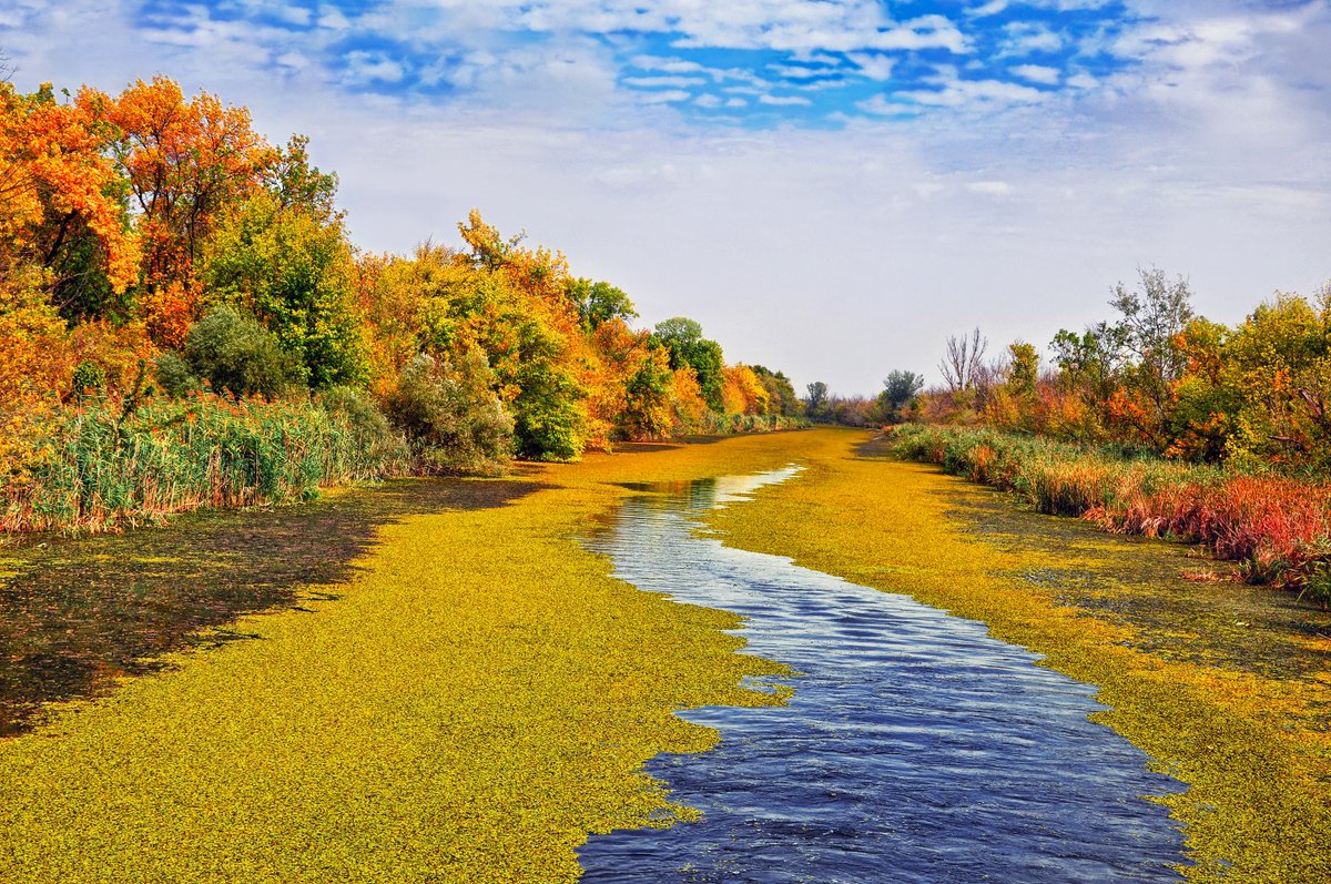 UNDP Climate (@undpclimate) on Twitter photo Over 4 billion people globally depend on wetlands.
Destruction of wetlands fuels conflicts over resources like fertile land and water, threatening lives and livelihoods.
Read how <a href="/UNDP/">UN Development</a> is protecting wetlands to ensure peace & security: go.undp.org/JCG
#WorldWetlandsDay Over 4 billion people globally depend on wetlands.
Destruction of wetlands fuels conflicts over resources like fertile land and water, threatening lives and livelihoods.
Read how <a href="/UNDP/">UN Development</a> is protecting wetlands to ensure peace & security: go.undp.org/JCG
#WorldWetlandsDay