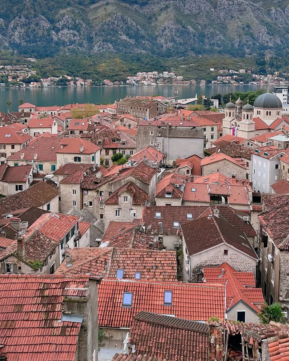 My Guide Montenegro tweet media