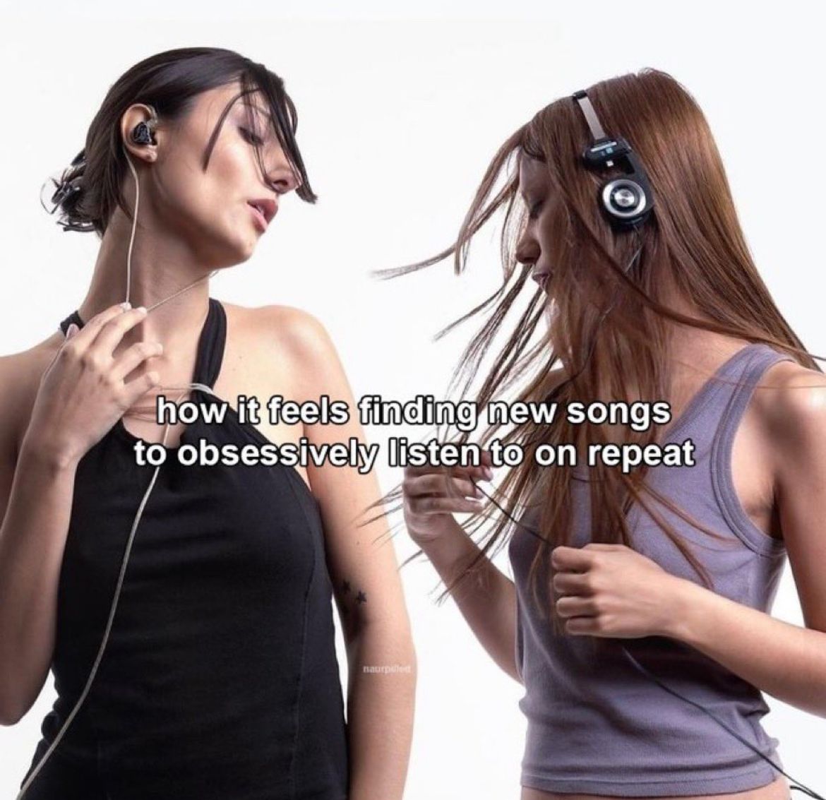 wildtiktokss's tweet image. 