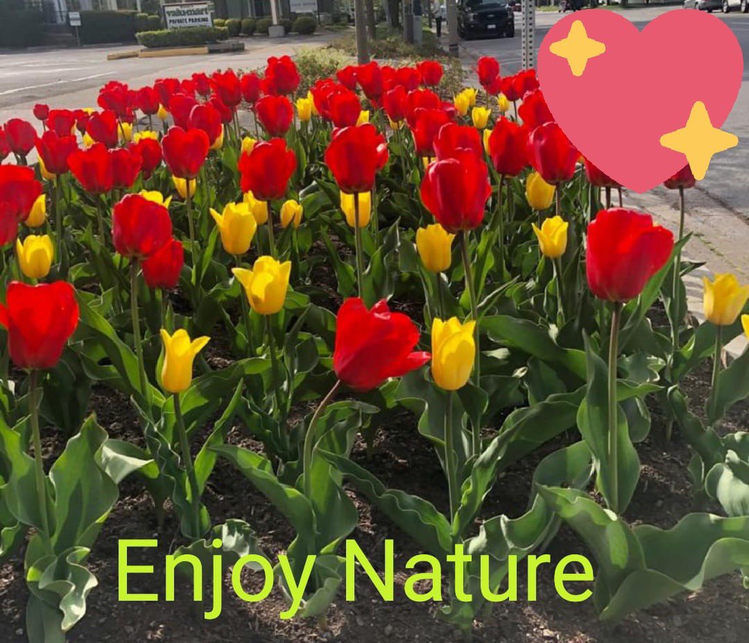 Kailash Batra (@kailashbatra99) on Twitter photo हम लिये फिरते हैं आँखों में चमन, एै बागबाँ,
जिस तरफ़ उठठी निगाह - ए - शौक़, गुलशन हो गया.
- Saquib Lakhnavi
<a href="/Munaf_Ali/">Munaf Ali</a> <a href="/arsiwalamurtuza/">मुर्तुजा</a> <a href="/mohd_ali_sahil/">Mohammad Ali Sahil</a> <a href="/mykhyd/">خالد فاضلی khalid fazli खालिद</a> <a href="/AdilAkh14018608/">Adil Akhtar</a> <a href="/akhterzaidi/">Akhter Zaidi</a> <a href="/raza_0184/">t̑̈ȃ̈ȗ̈f̑̈ȋ̈q̑̈ȓ̈ȃ̈z̑̈ȃ̈</a> <a href="/shamshad031463/">SHAMSHAD</a> <a href="/Nikki_Afroz/">💫Nikki💫</a> <a href="/Zainab___786/">زیــــــــــZ𝗮𝗶𝗻𝗮𝗯ـــــــــنب</a> <a href="/RuhiKadree/">Ruhi Kadree</a> <a href="/pamiladhar/">Pamila Dhar</a> <a href="/SalariFa/">FatimaSalari 🇮🇪🇵🇸🇻🇪</a> हम लिये फिरते हैं आँखों में चमन, एै बागबाँ,
जिस तरफ़ उठठी निगाह - ए - शौक़, गुलशन हो गया.
- Saquib Lakhnavi
<a href="/Munaf_Ali/">Munaf Ali</a> <a href="/arsiwalamurtuza/">मुर्तुजा</a> <a href="/mohd_ali_sahil/">Mohammad Ali Sahil</a> <a href="/mykhyd/">خالد فاضلی khalid fazli खालिद</a> <a href="/AdilAkh14018608/">Adil Akhtar</a> <a href="/akhterzaidi/">Akhter Zaidi</a> <a href="/raza_0184/">t̑̈ȃ̈ȗ̈f̑̈ȋ̈q̑̈ȓ̈ȃ̈z̑̈ȃ̈</a> <a href="/shamshad031463/">SHAMSHAD</a> <a href="/Nikki_Afroz/">💫Nikki💫</a> <a href="/Zainab___786/">زیــــــــــZ𝗮𝗶𝗻𝗮𝗯ـــــــــنب</a> <a href="/RuhiKadree/">Ruhi Kadree</a> <a href="/pamiladhar/">Pamila Dhar</a> <a href="/SalariFa/">FatimaSalari 🇮🇪🇵🇸🇻🇪</a>