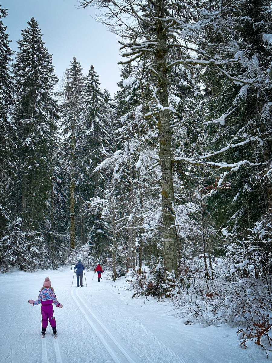 Andrew Purcell tweet media