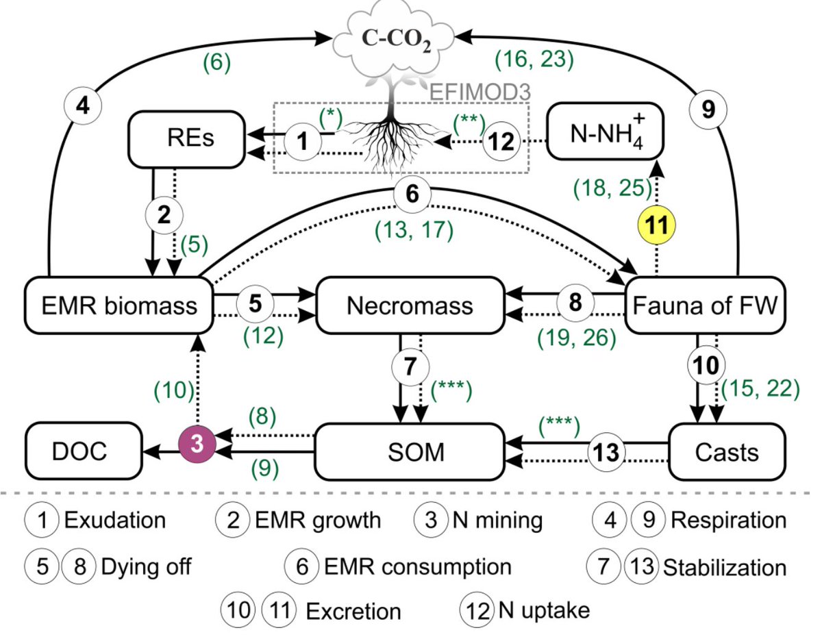 Augusto Zanella tweet media