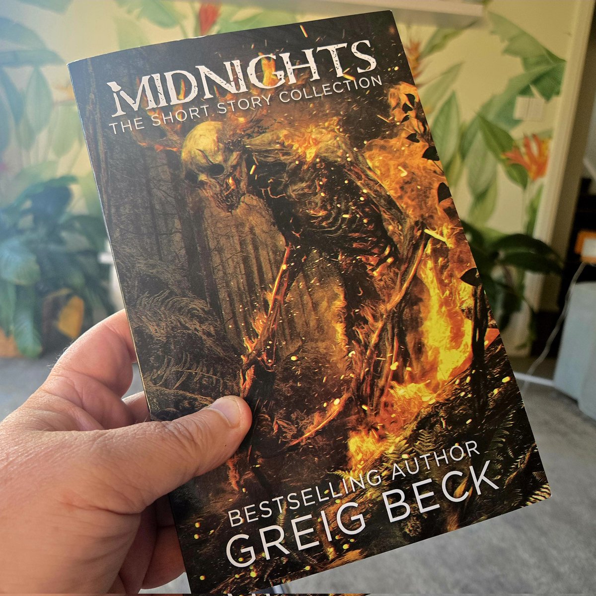 TheTonyHansen's tweet photo. Thanks to @GreigBeck, I expect to be very tired at work on Monday... #bookmail #horrorbooks https://t.co/nSAnRuVs0w